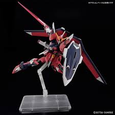 #244 Immortal Justice Gundam HG 1/144