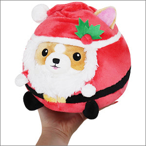 Undercover Corgi in Santa